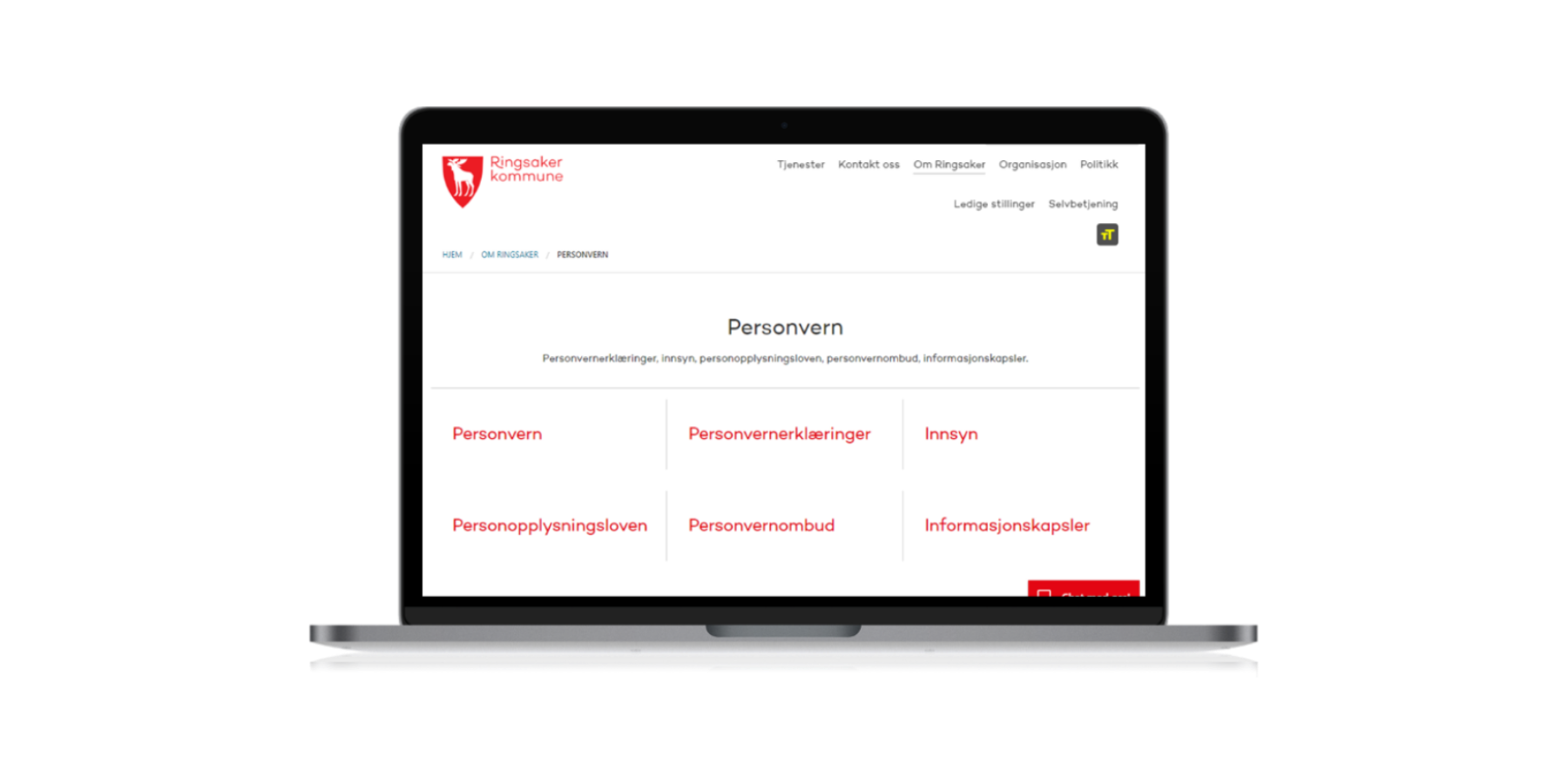 Ringsaker kommune (13)